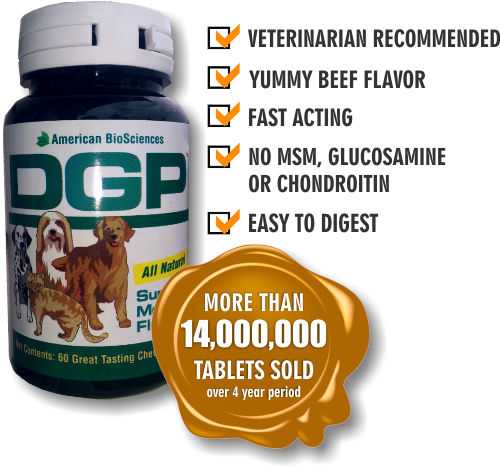 A natural solution for your pet's pain & inflammation. Helps speed recovery.